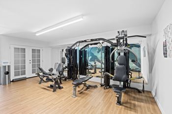 A gym with a variety of equipment including a treadmill, weights, and a bench press.